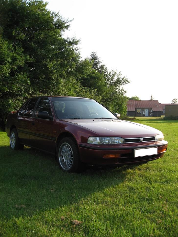 Honda Accord - Død:( - Sandelig også i den anden side billede 9