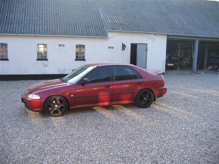 Honda civic esi  billede 8