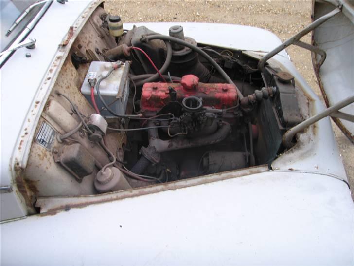 Volvo Pv 544  billede 6