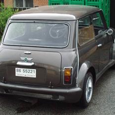 Mini mascot 1000 ( SOLGT)