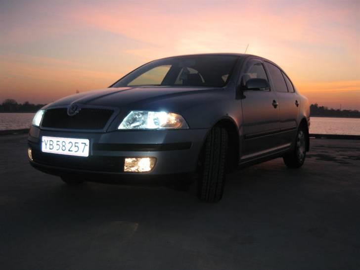 Skoda Octavia  billede 10