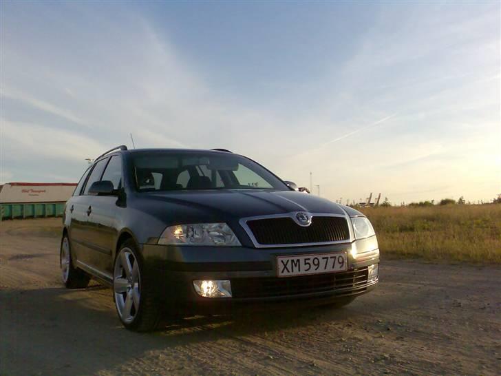 Skoda Skoda Octavia 1,9 TDI Ele billede 1