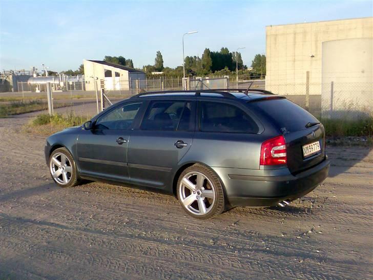 Skoda Skoda Octavia 1,9 TDI Ele billede 2