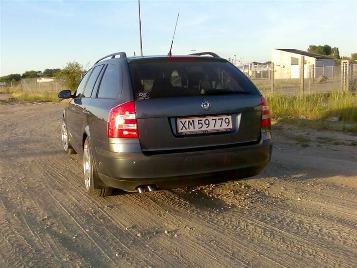 Skoda Skoda Octavia 1,9 TDI Ele billede 3