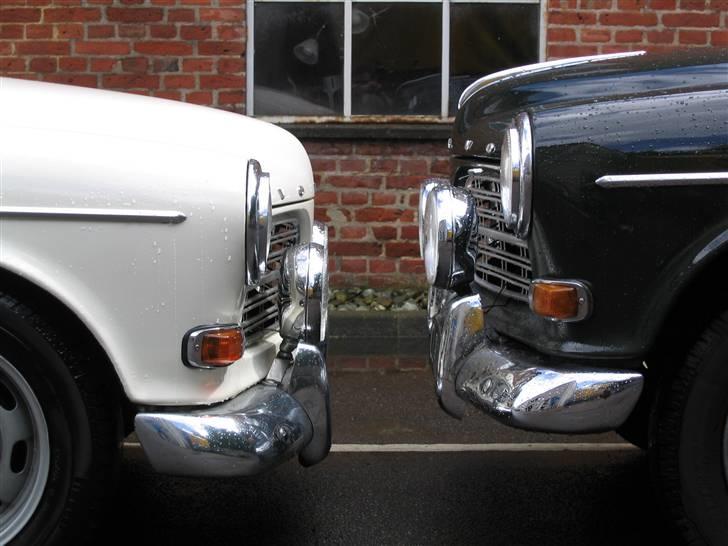 Volvo Amazon SOLGT - Det er tydligt at Anders´s Ama bukker for Betty.... Eller er den bare sænket?? billede 10