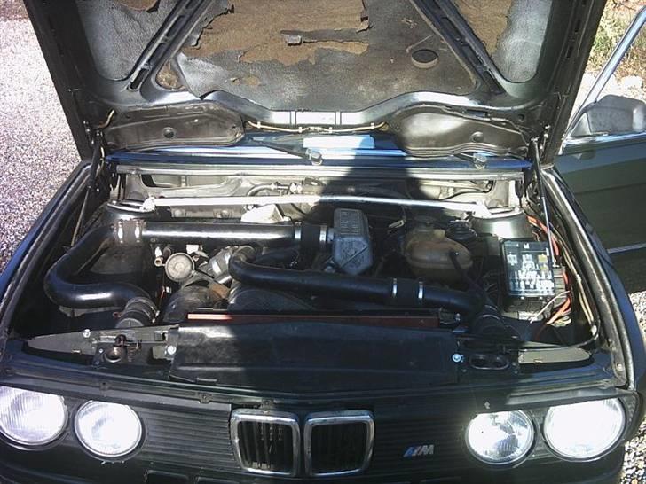 BMW 524 TD E28 - et billed mere af motorrummet billede 7