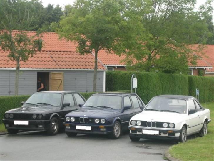 BMW                          E30 318i TC BAUR TC2 - ---- ´89 BMW E30 318is Coupe --------- ´86 BMW E30 324td Sedan ------------ ´84 BMW E30 316i TC Baur ----------------------- billede 12