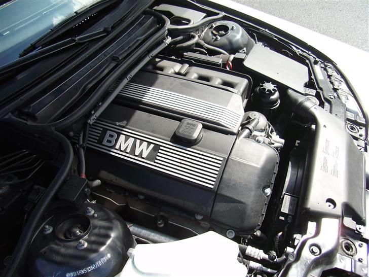 BMW E46 330CI (SOLGT) billede 18