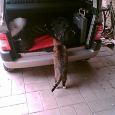 Citroën Berlingo SOLGT