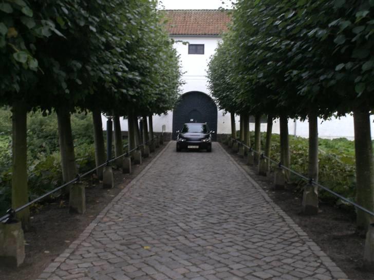 VW Golf 4 (solgt) billede 7