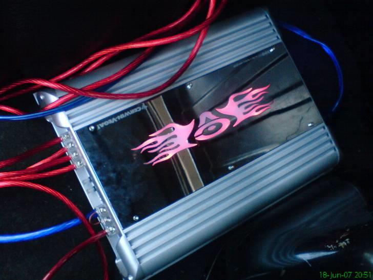 Ford Fiesta markracer død billede 11