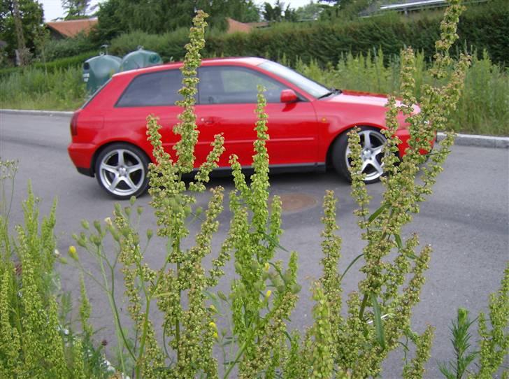 Audi a3 solgt billede 14