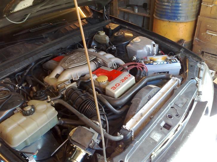 Opel omega3000 evolution billede 7