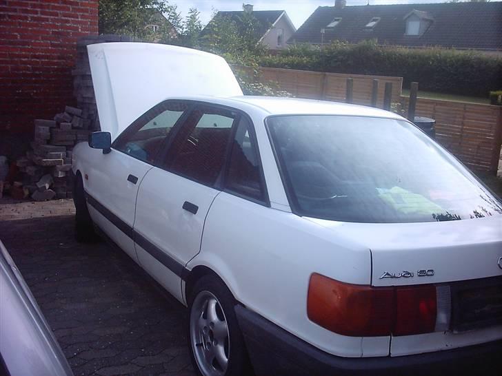 Audi 80 1,8s /1,8 16v billede 14