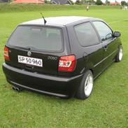 VW Polo 6n (SOLGT)