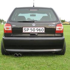 VW Polo 6n (SOLGT)