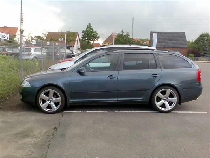 Skoda Skoda Octavia 1,9 TDI Ele billede 8