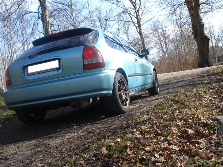 Honda Civic  billede 1