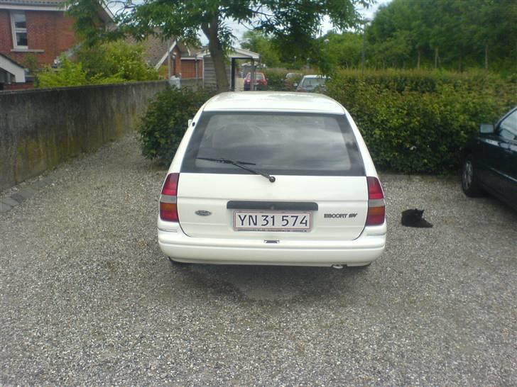 Ford Escort (solgt) billede 4