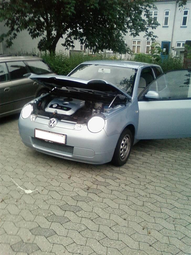VW Lupo (SOLGT) billede 8