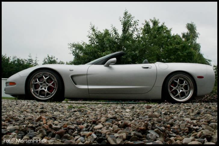 Chevrolet Corvette C5 Cab billede 1