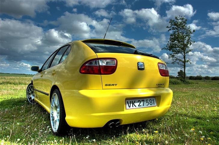 Seat Leon 4x4 (SOLGT) billede 7