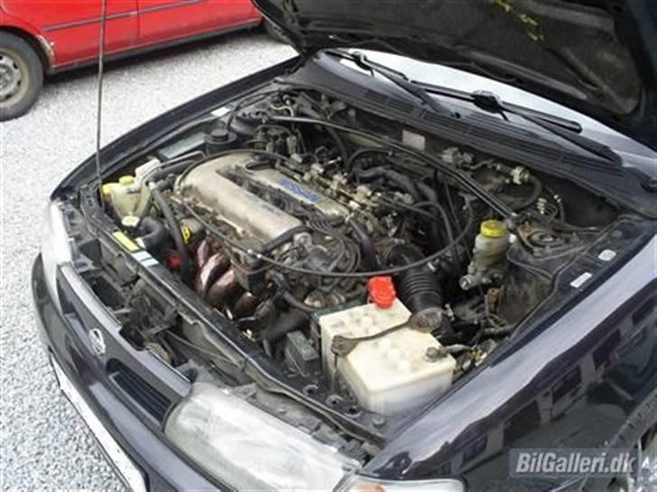 Nissan Almera SRX/GTI billede 2