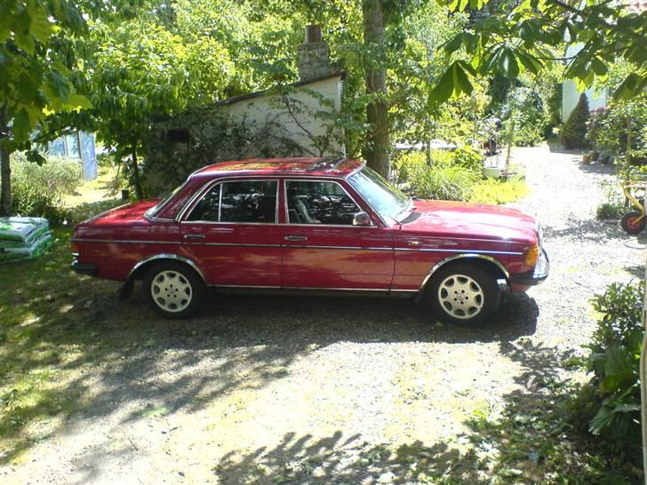 Mercedes Benz W123 240D  **1.200.000 km - 11. Juni efter en vask billede 6