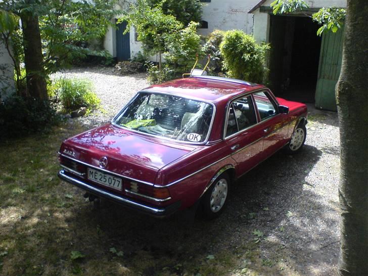 Mercedes Benz W123 240D  **1.200.000 km - 11. Juni efter en vask billede 9