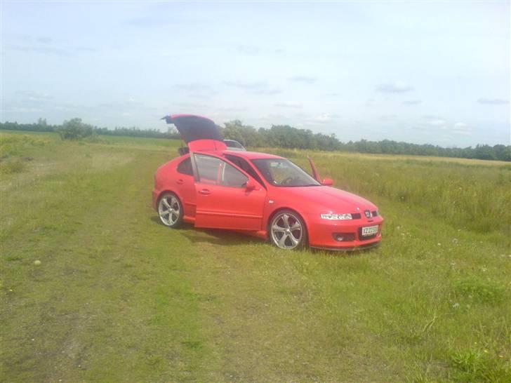 Seat leon- Solgt billede 13