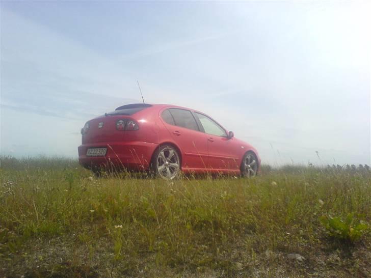 Seat leon- Solgt billede 14