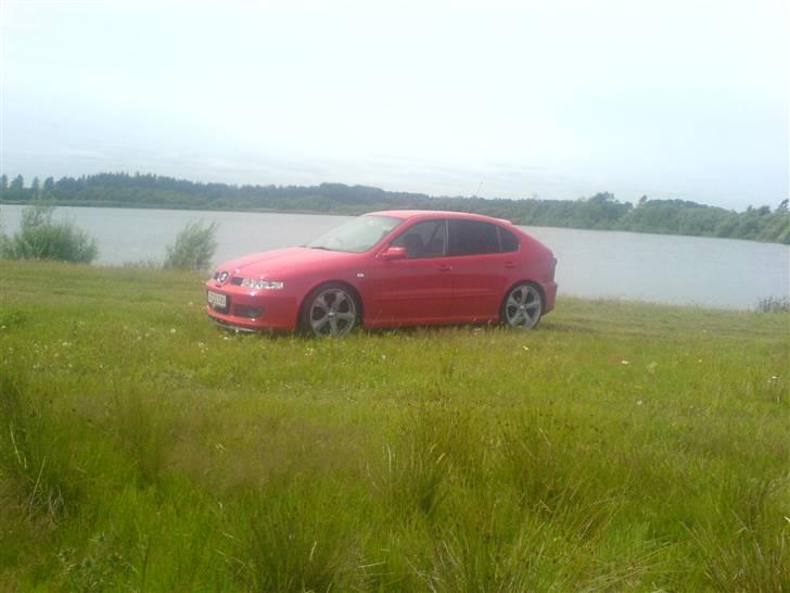 Seat leon- Solgt billede 15