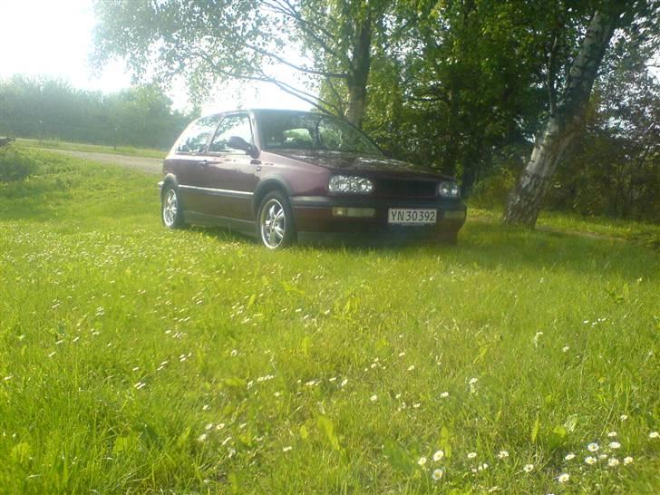 VW Golf 3 *solgt* billede 14