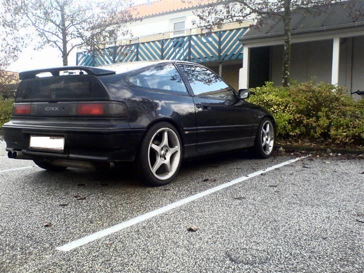 Honda CRX 1,6 16V - De gamle fælge der sad på da jeg købte den. Desværre har en tidligere ejer rykket en del kantsten. billede 5