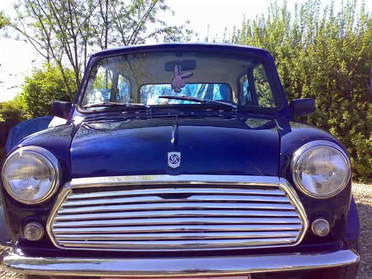 Mini Mascot  billede 1