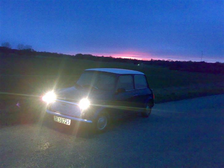 Mini Mascot  billede 5