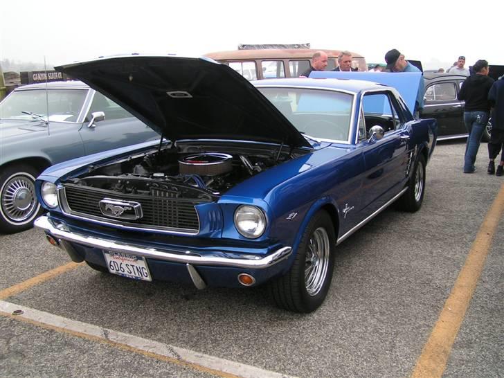 Ford mustang (bilen er solgt) billede 1