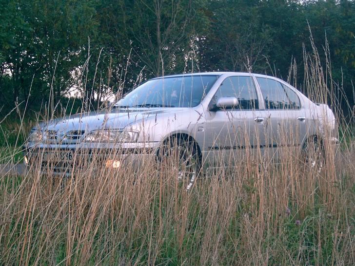 Nissan Primera si  - ja et meget godt foto synes jeg billede 2