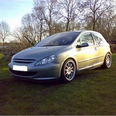 Peugeot 307 (Vinter bil!)