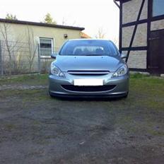 Peugeot 307 (Vinter bil!)