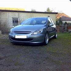 Peugeot 307 (Vinter bil!)