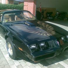 Pontiac Firebird Trans Am 