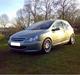 Peugeot 307 (Vinter bil!)