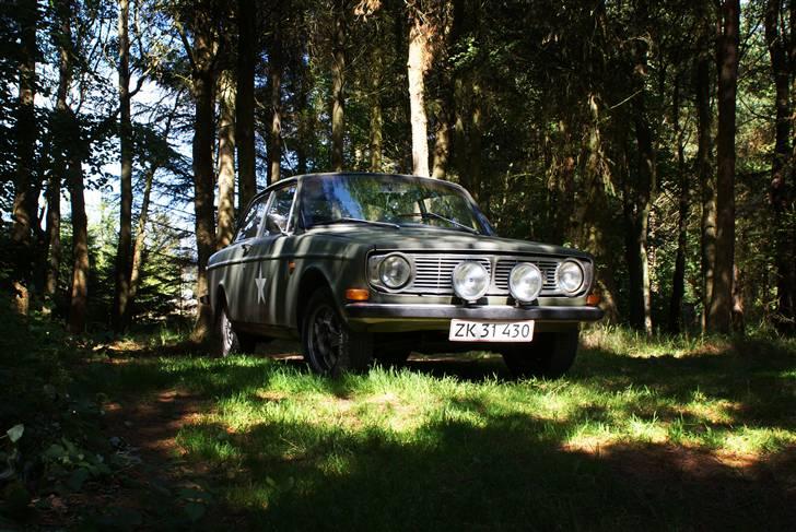 Volvo 142 - skovbillede. den var faktisk god til at lege skjul, tro det eller ej. billede 5