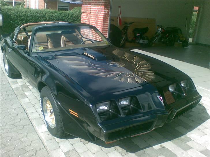 Pontiac Firebird Trans Am  billede 1