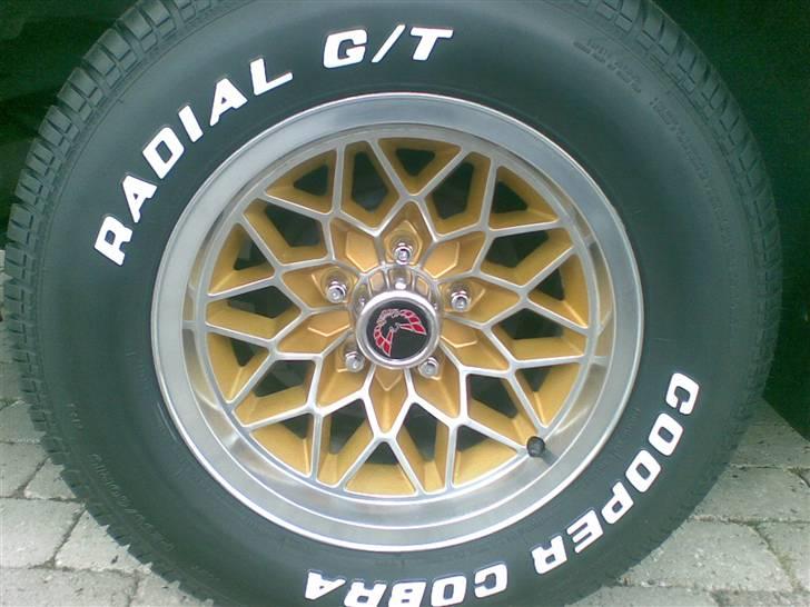 Pontiac Firebird Trans Am  billede 10