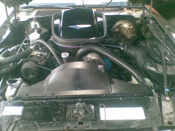 Pontiac Firebird Trans Am  billede 12