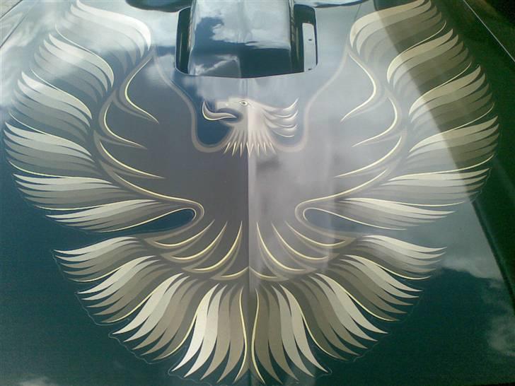 Pontiac Firebird Trans Am  billede 13