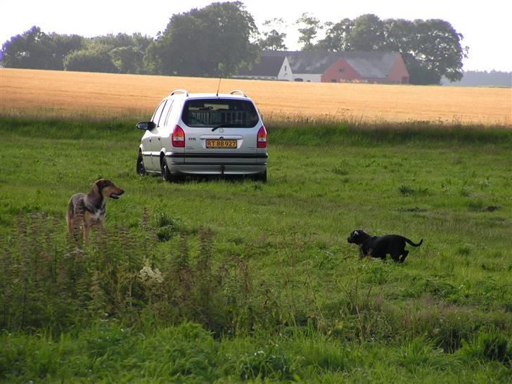 Opel zafira 2,0 DTI solgt billede 11