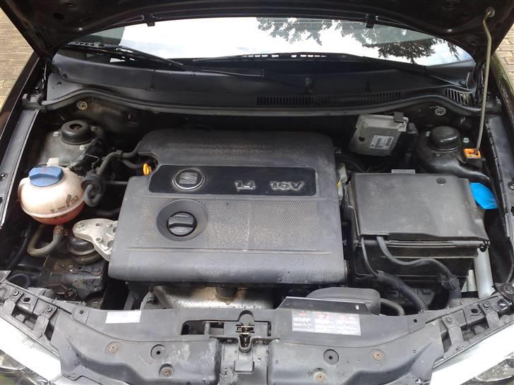 Seat Ibiza (solgt) billede 3